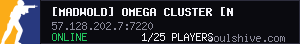server tag