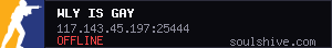 server tag