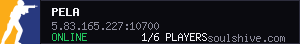 server tag
