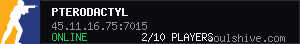 server tag