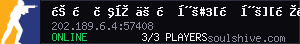 server tag
