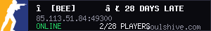 server tag