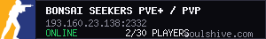 server tag