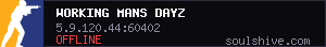 Working mans dayz