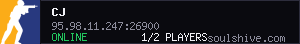 server tag
