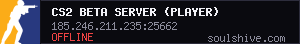 CS2 BETA SERVER (Player)