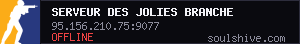 server tag