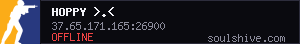 server tag