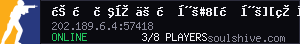 server tag