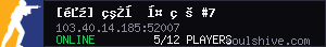 server tag