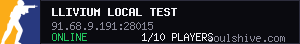 llivium local test