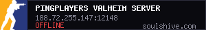 server tag