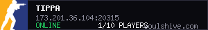 server tag