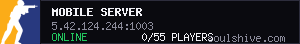Mobile Server