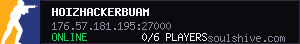 Hoizhackerbuam