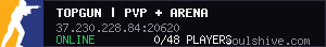 TOPGUN | PVP + ARENA