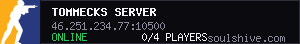 tommecks server