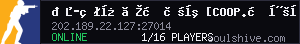 server tag