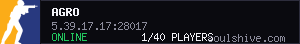 server tag