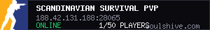 server tag