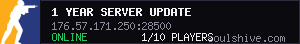 1 year server update