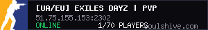 server tag