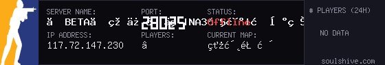 server tag