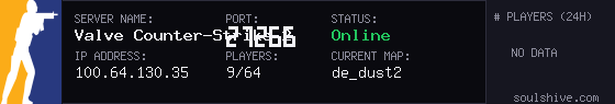 server tag