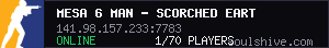 server tag
