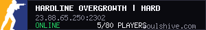 server tag